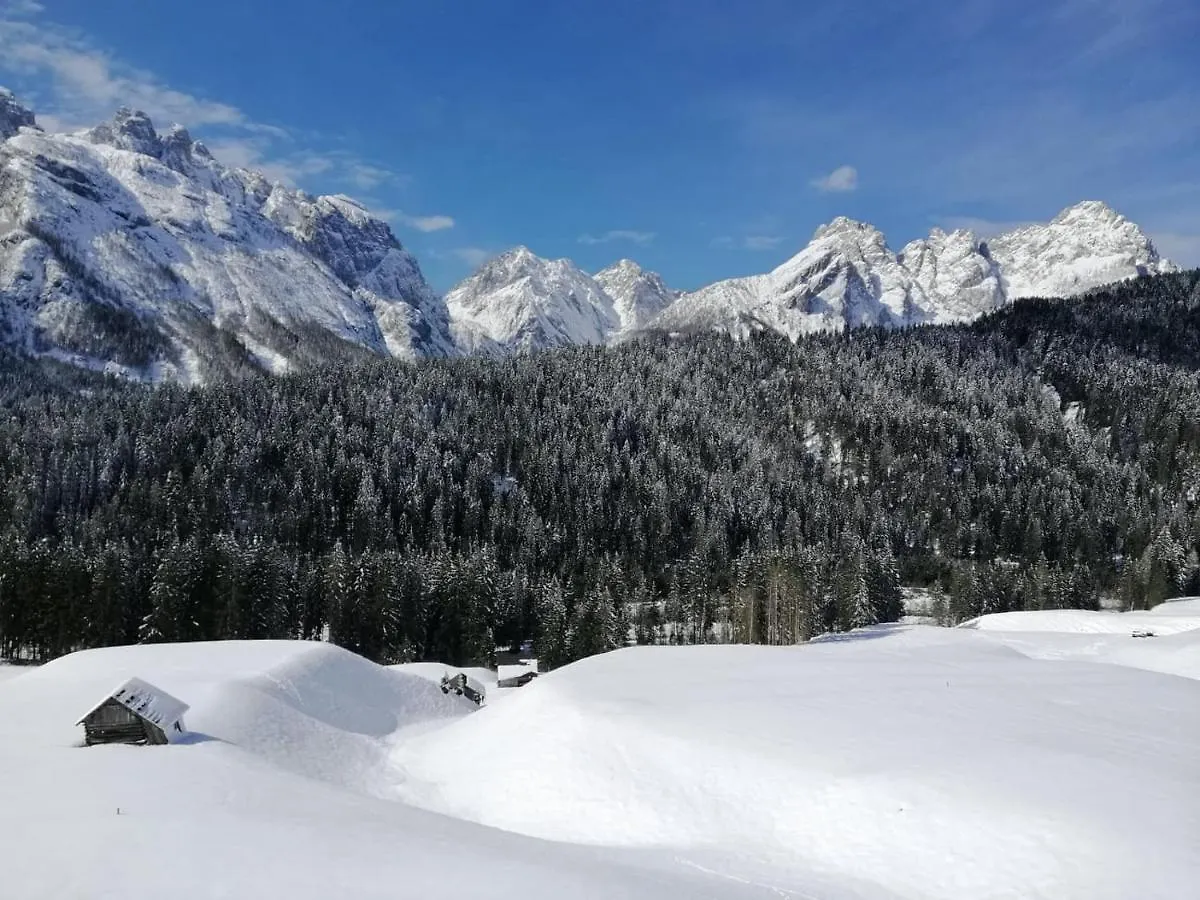 Apartment Ferienwohnung Plodn House Sappada