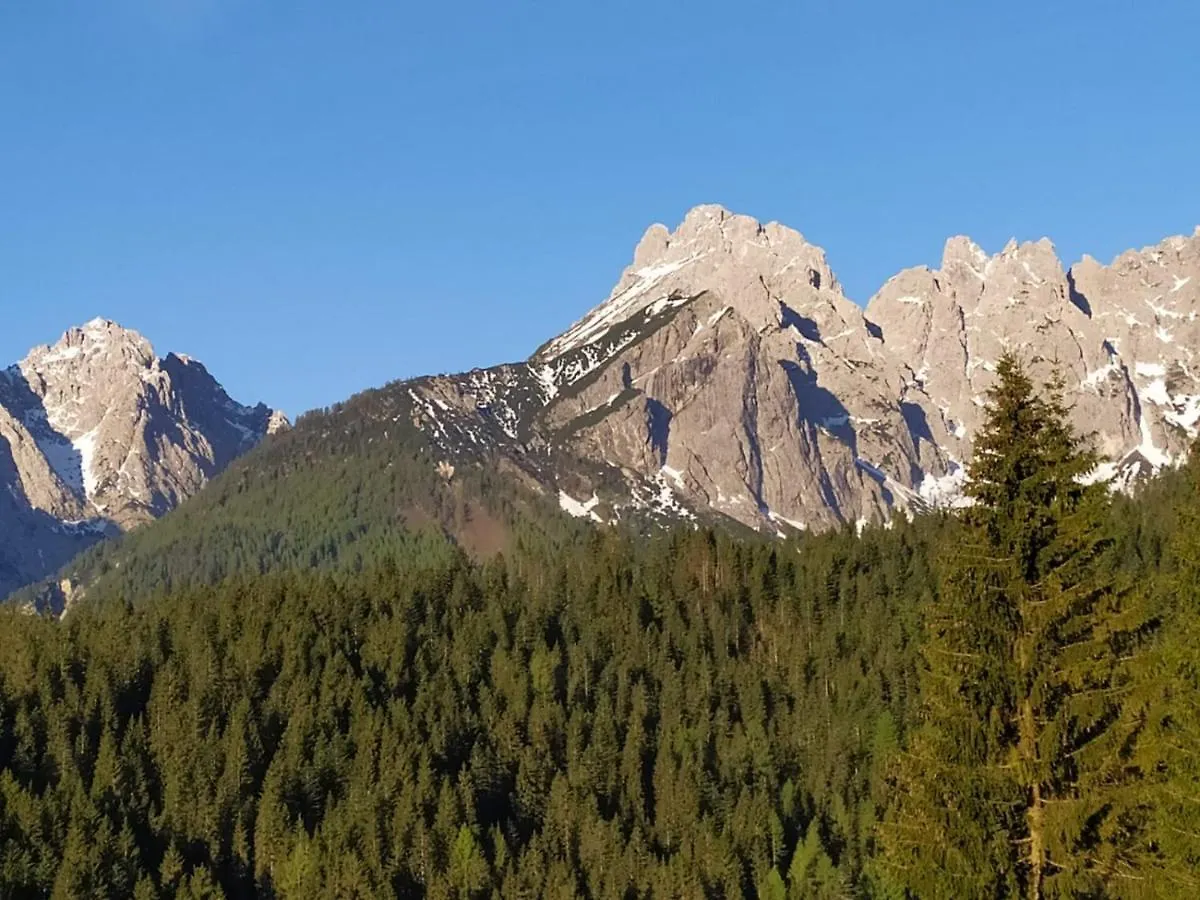 Apartment Ferienwohnung Plodn House Sappada